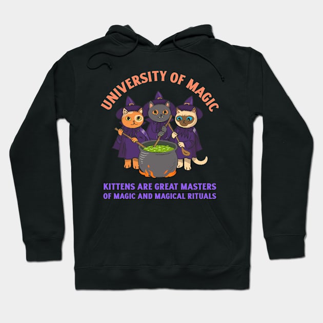 University of Magic / Kittens are great masters of magic / Halloween Hoodie by Vladimir Zevenckih